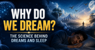 Why Do We Dream? The Science Behind Dreams